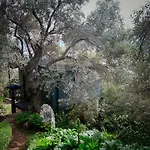Magical Treehouse By The Sea With Amazing Views