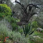Maison d'hôtes Magical Treehouse By The Sea With Amazing Views