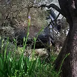 Magical Treehouse By The Sea With Amazing Views Maison d'hôtes