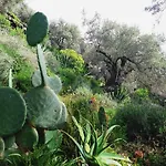 Magical Treehouse By The Sea With Amazing Views Koukouleika