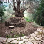 Magical Treehouse By The Sea With Amazing Views