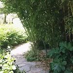 Magical Treehouse By The Sea With Amazing Views