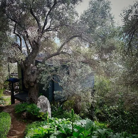 Magical Treehouse By The Sea With Amazing Views