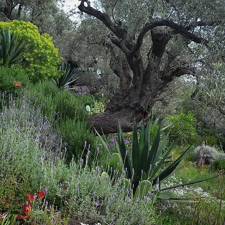 Casa de hóspedes Magical Treehouse By The Sea With Amazing Views