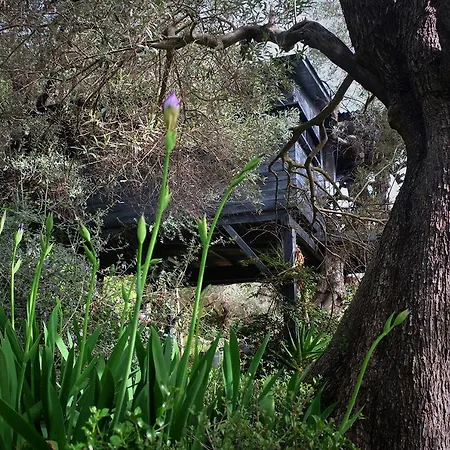 Magical Treehouse By The Sea With Amazing Views Casa de hóspedes