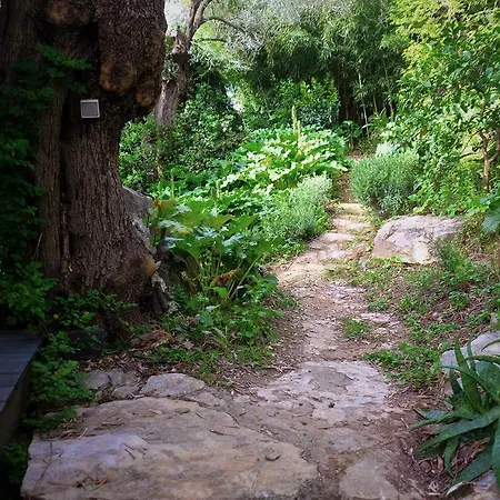 Magical Treehouse By The Sea With Amazing Views 3*