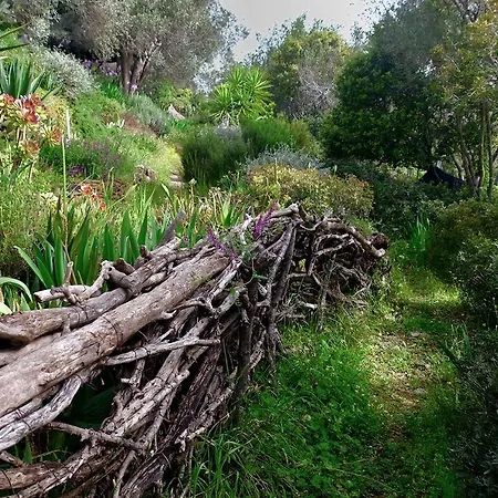 Magical Treehouse By The Sea With Amazing Views