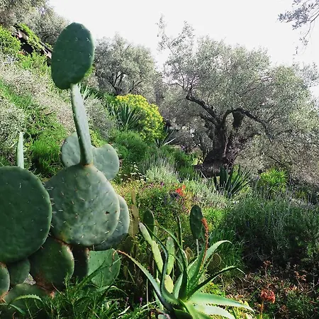 Magical Treehouse By The Sea With Amazing Views Koukouleika