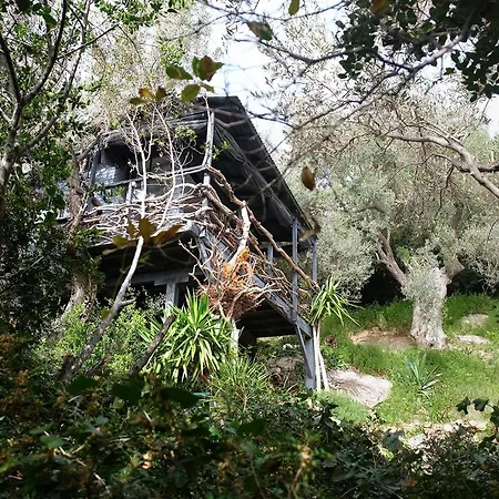 بيت ضيافة Magical Treehouse By The Sea With Amazing Views *