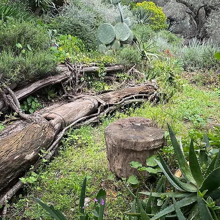 Magical Treehouse By The Sea With Amazing Views 3* Koukouleika