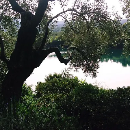 Magical Treehouse By The Sea With Amazing Views Koukouleika