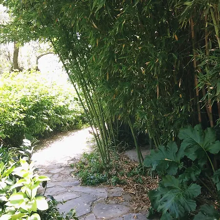Magical Treehouse By The Sea With Amazing Views
