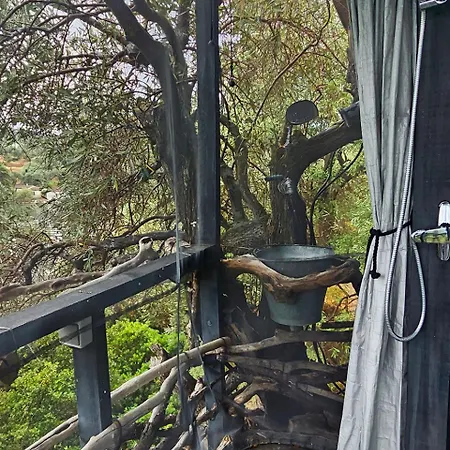 Casa de hóspedes Magical Treehouse By The Sea With Amazing Views 3*