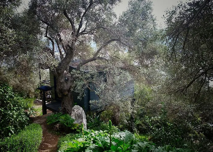 Magical Treehouse By The Sea With Amazing Views