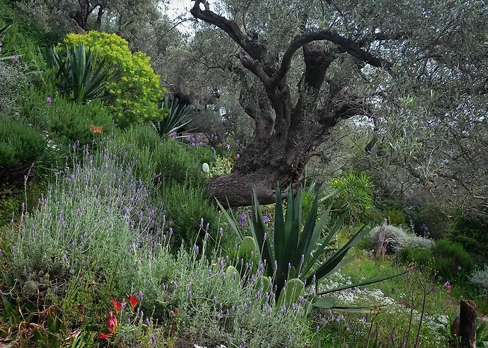 Pensiune Magical Treehouse By The Sea With Amazing Views