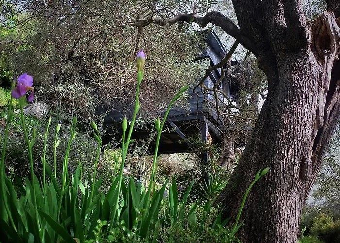 Magical Treehouse By The Sea With Amazing Views Pensiune