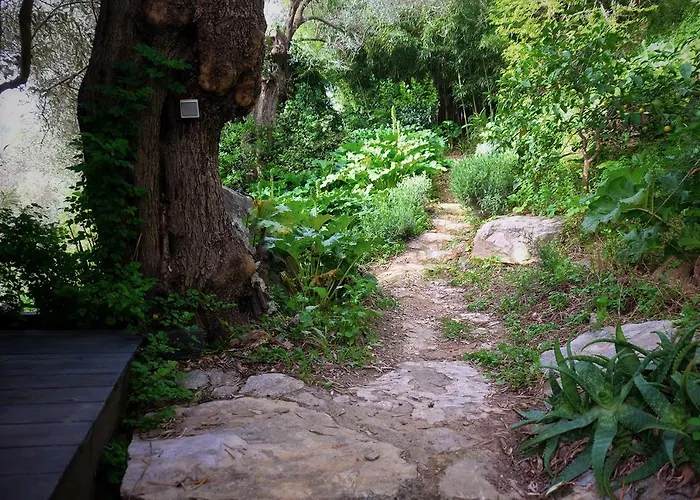 Magical Treehouse By The Sea With Amazing Views 3*