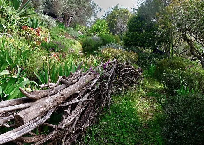 Magical Treehouse By The Sea With Amazing Views