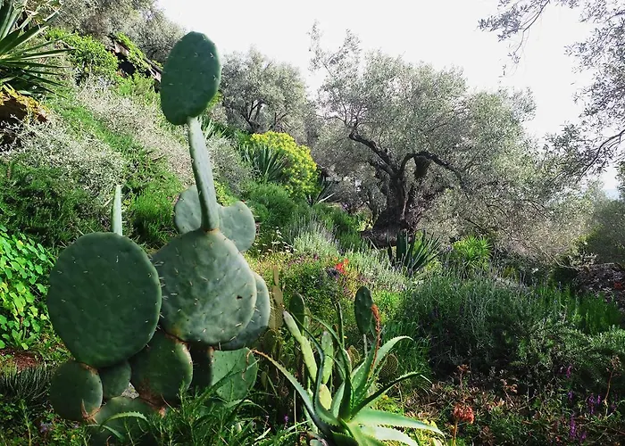 Magical Treehouse By The Sea With Amazing Views Koukouleika
