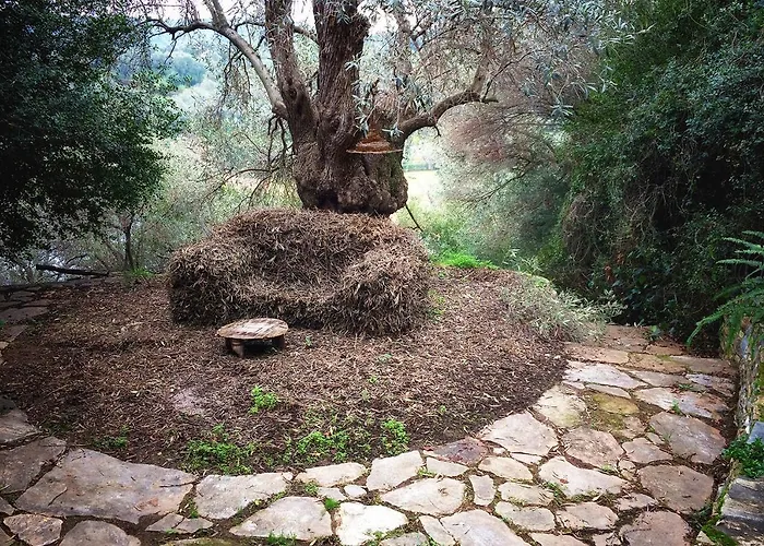 Magical Treehouse By The Sea With Amazing Views