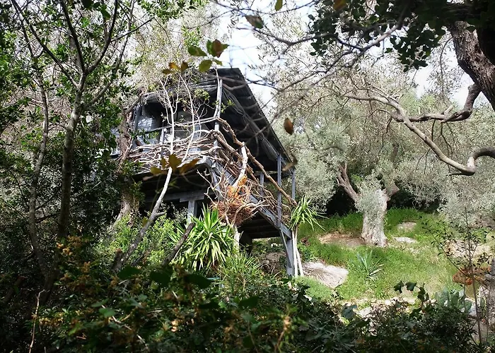 Pensiune Magical Treehouse By The Sea With Amazing Views 3*