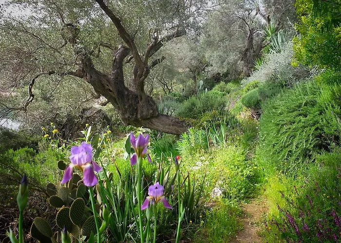 Pensiune Magical Treehouse By The Sea With Amazing Views Koukouleika
