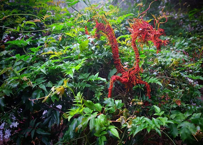 Pensiune Magical Treehouse By The Sea With Amazing Views Koukouleika