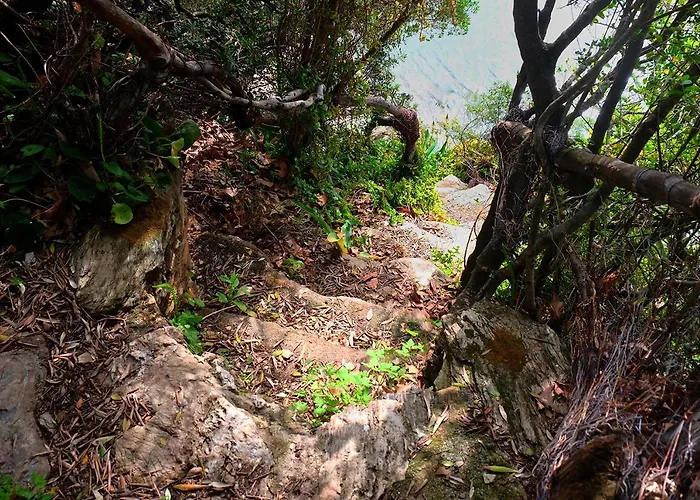 Magical Treehouse By The Sea With Amazing Views