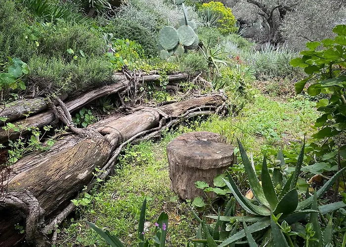 Magical Treehouse By The Sea With Amazing Views 3* Koukouleika