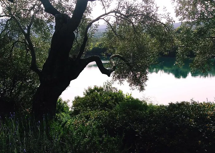 Magical Treehouse By The Sea With Amazing Views Koukouleika