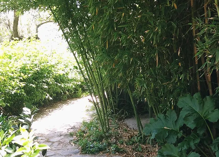 Magical Treehouse By The Sea With Amazing Views
