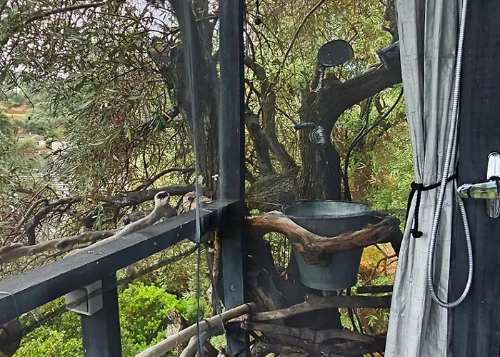 Pensiune Magical Treehouse By The Sea With Amazing Views 3*